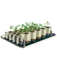 Kit germination S 41